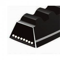 Correia 10AV770