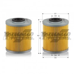 Filtro de Combustível GS0456