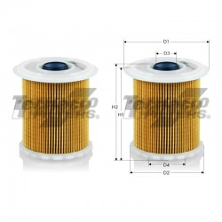Filtro de Combustível GS0300